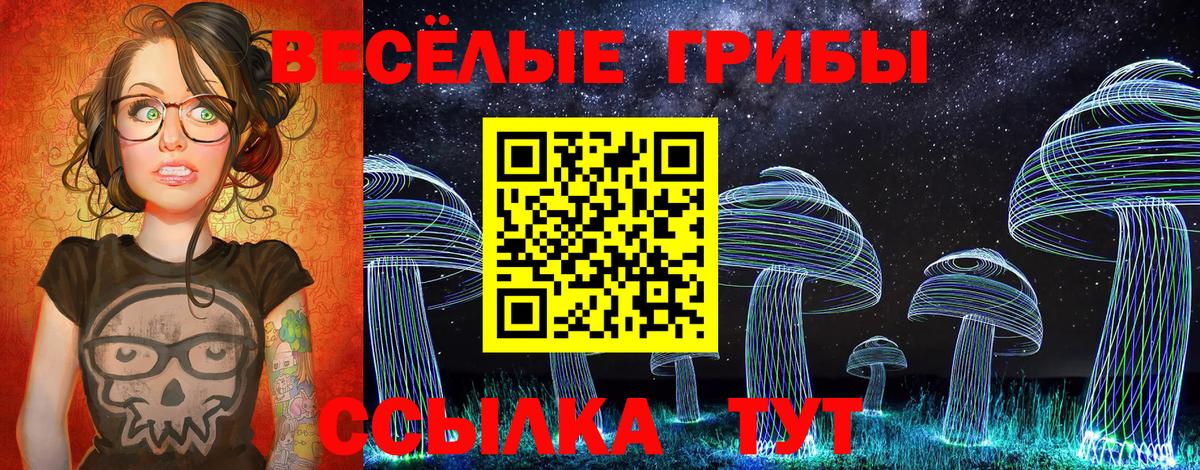 Петровск  Псилоцибиновые грибы прущие грибы  Вход с VPN 