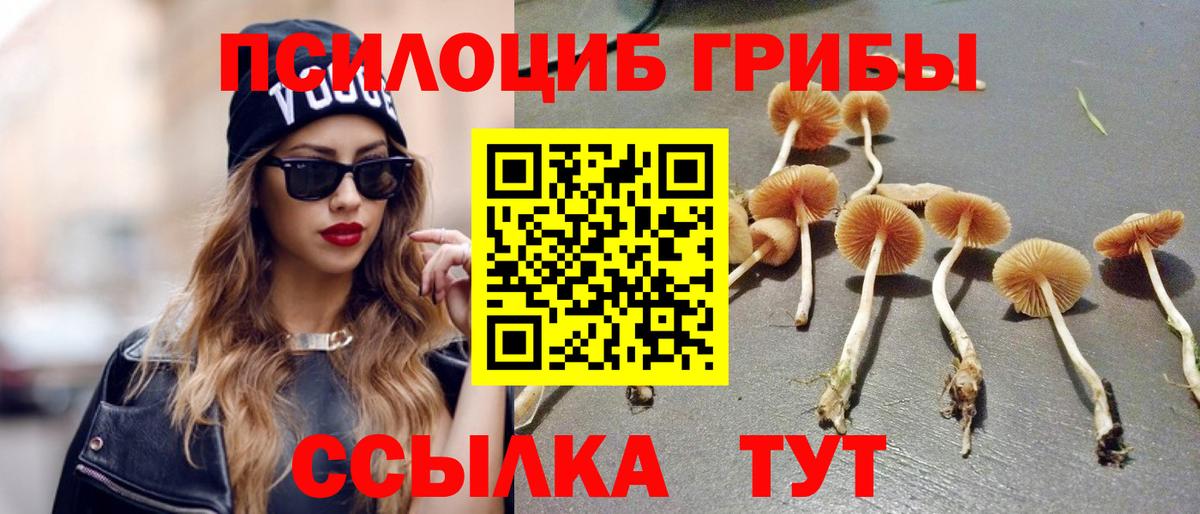 Галлюциногенные грибы мицелий Петровск